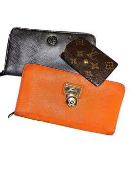 Designer Accessory Bundle: LV Monogram 6-Ring Key Holder, MK Hamilton Orange Wal